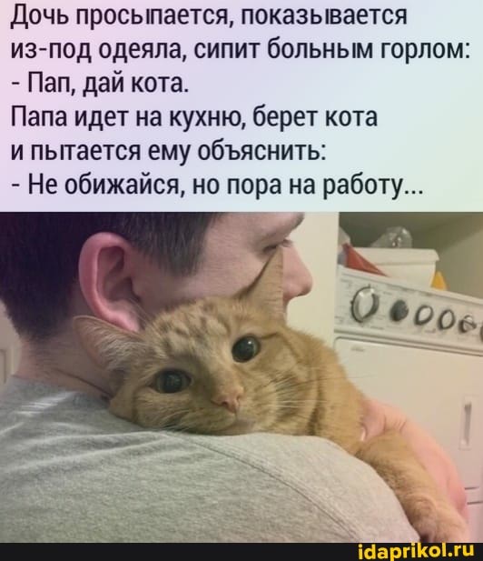 Дочь просыпается, показывается из-под одеяла, сипит больным горлом:
- Пап, дай кота.
Папа идет на кухню, берет кота
и пытается ему обяснить:
- Не обижайся, но пора на работу...
