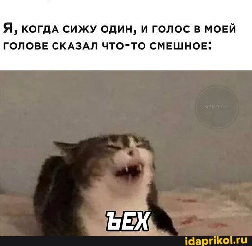 Я, КОГДА СИЖУ ОДИН, И ГОЛОС В МОЕЙ
ГОЛОВЕ СКАЗАЛ ЧТО-ТО СМЕШНОЕ: