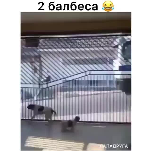 2 6an6eca & SN SS SS