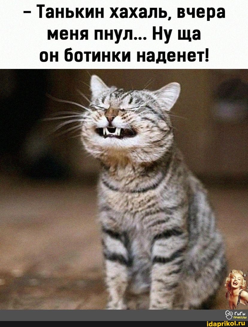 Танькин хахаль, вчера меня пнул... Ну ща он ботинки наденет!