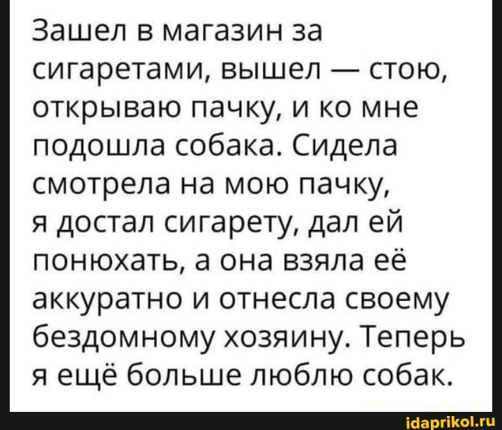 Зашел в магазин за сигаретами, вышел - стою, открываю пачку, и ко мне подошла собака. Сидела смотрела на мою пачку,
я достал сигарету, дал ей понюхать, а она взяла её
аккуратно и отнесла своему бездомному хозяину. Теперь я ещё больше люблю собак.