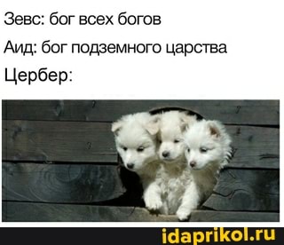 Зевс: бог всех богов
Аид: бог подземного царства
Цербер: