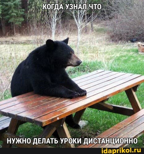 КОГДА УЗНАЛ ЧТО
НУЖНО ДЕЛАТЬ УРОКИ ДИСТАНЦИОННО