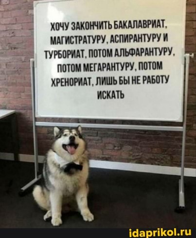 ХОЧУ ЗАКОНЧИТЬ БАКАЛАВРИАТ,
МАГИСТРАТУРУ, АСПИРАНТУРУ И ТУРБОРИАТ, ПОТОМ АЛЬФАРАНТУРУ,
ПОТОМ МЕГАРАНТУРУ, ПОТОМ ХРЕНОРИАТ, ЛИШЬ БЫ НЕ РАБОТУ ИСКАТЬ