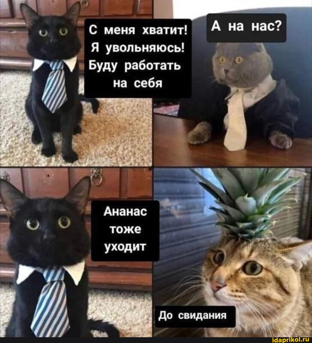 e4c81003005805ddb85168efc4715438c6512e2cbb76c979de9887889d380bfa_1.jpg