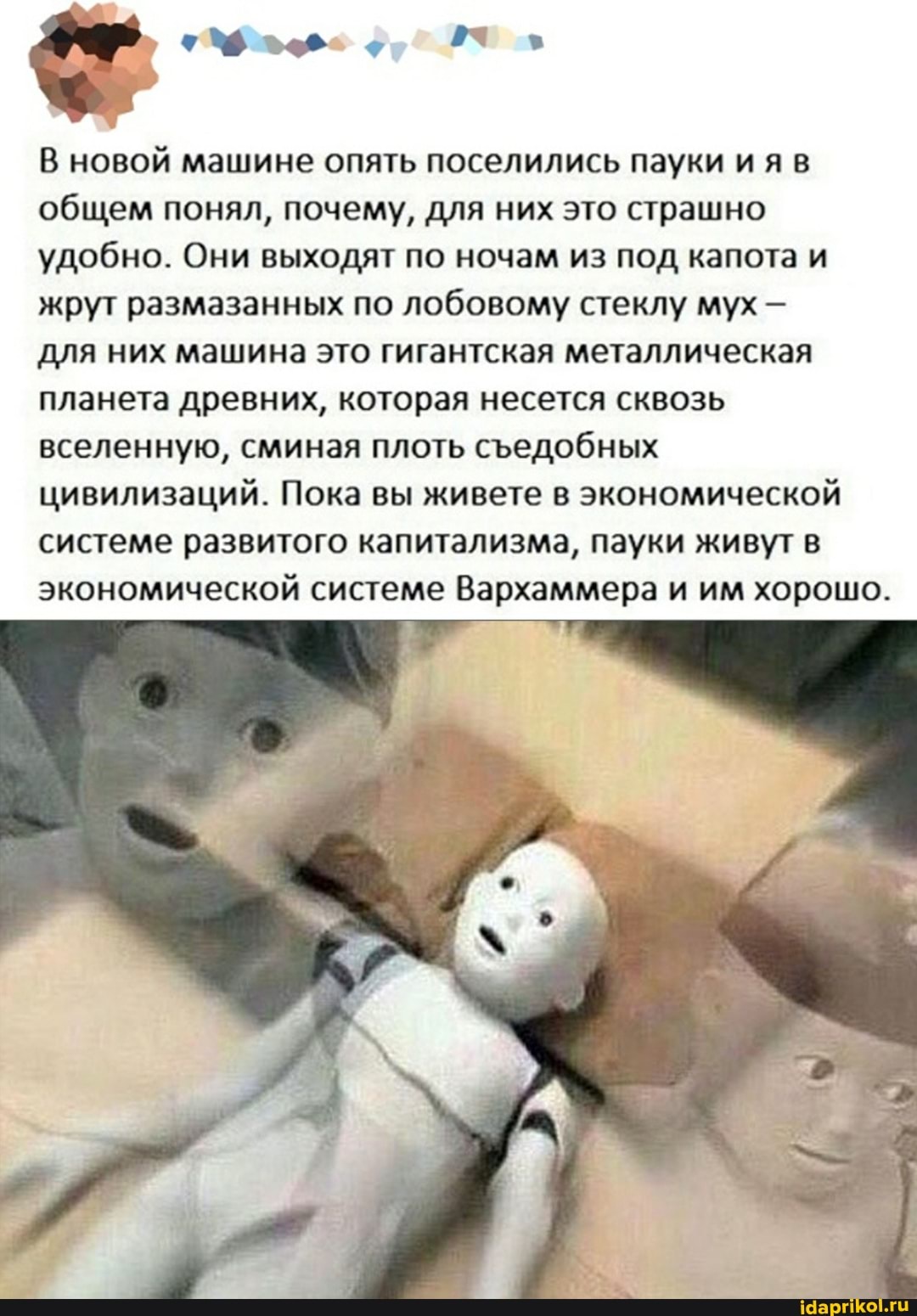 В новой машине опять поселились пауки ияв общем понял, почему, для них это страшно удобно. Они выходят по ночам из под капота и жрут размазанных по лобовому стеклу мух -
для них машина это гигантская металлическая планета древних, которая несется сквозь вселенную, сминая плоть седобных цивилизаций. Пока вы живете в экономической системе развитого капитализма, пауки живут в экономической системе Вархаммера и им хорошо.