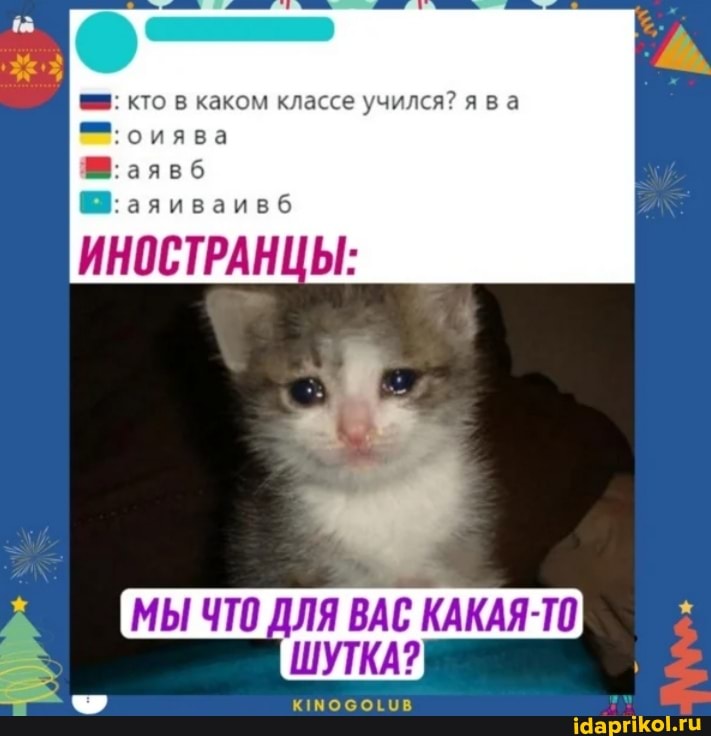 кто в каком классе учился? ява
оиява
аявб
аяиваивб
ИНОСТРАНЦЫ:
МЫ ЧТО ДЛЯ ВАС КАКАЯ-ТО ШУТКА?
