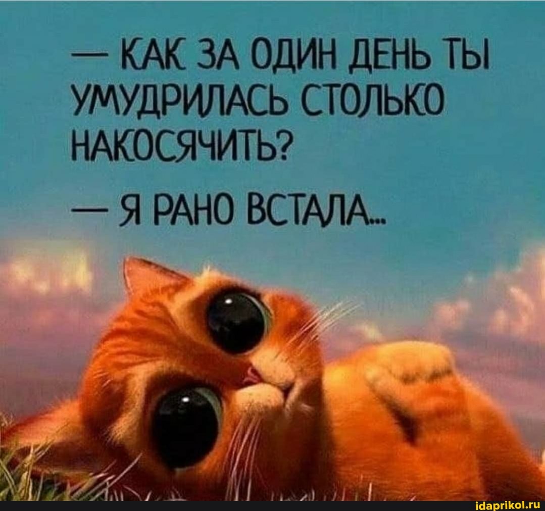 - КАК ЗА ОДИН ДЕНЬ ТЫ УМУДРИЛАСЬ СТОЛЬКО
НАКОСЯЧИТЬ?
- Я РАНО ВСТАЛА..