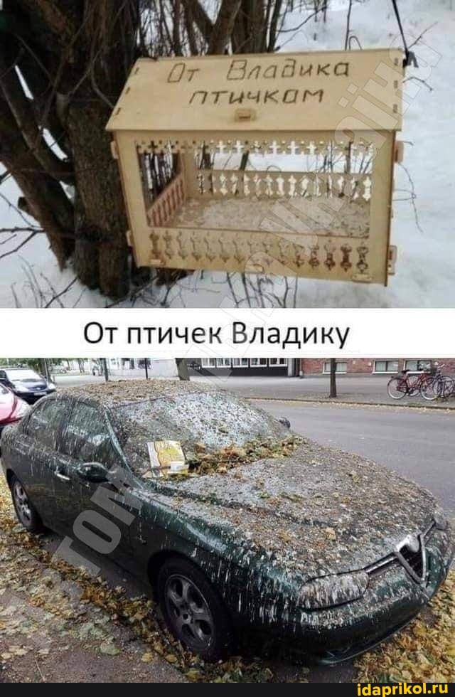 тика
'утычк ига
От птичек Владику
