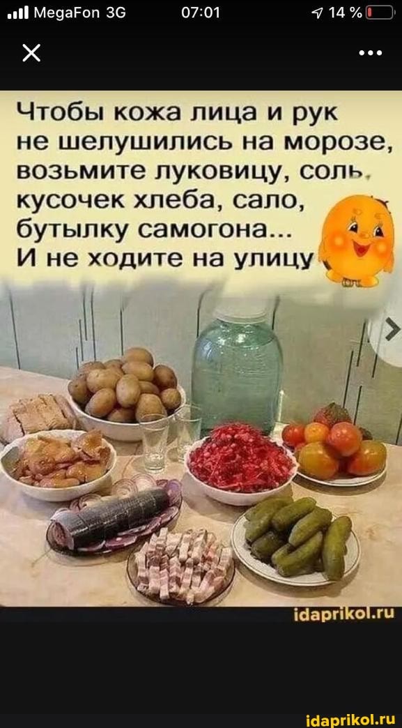 I МедаРоп 36
Чтобы кожа лица и рук не шелушились на морозе, возьмите луковицу, соль кусочек хлеба, сало, бутылку самогона... 4. &
И не ходите на улицу