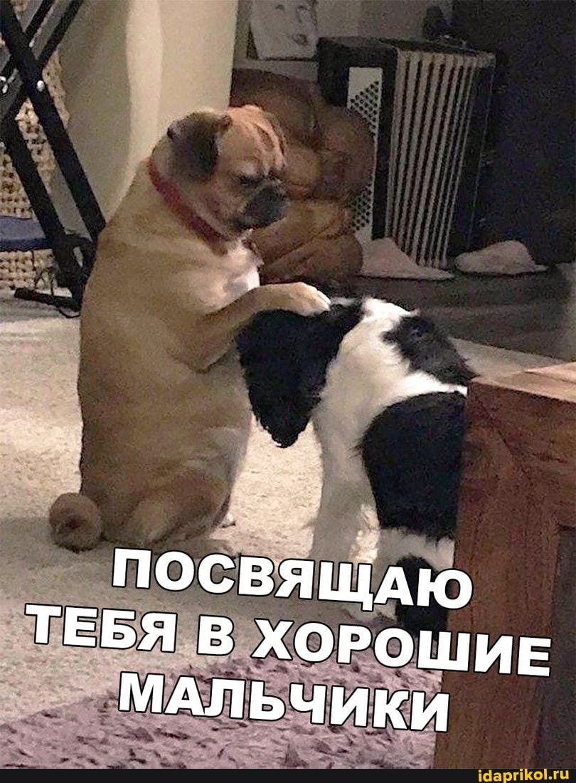 ПОСВЯЩАЮ ТЕБЯ В ХОРОШИЕ МАЛЬЧИКИ