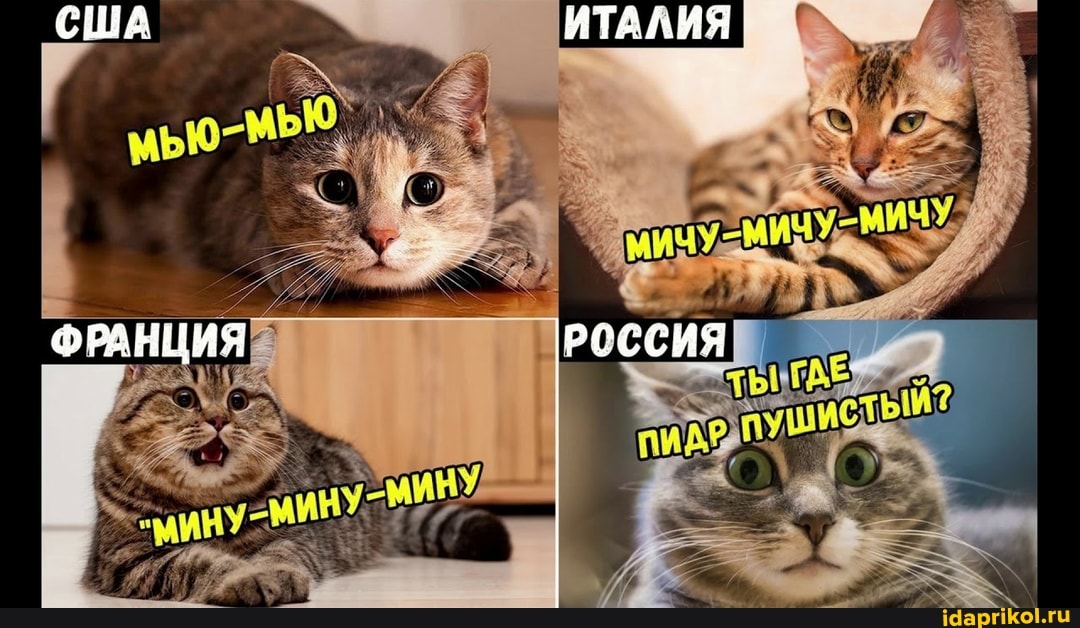 США ИТАЛИЯ
ФРАНЦИЯ РОССИЯ