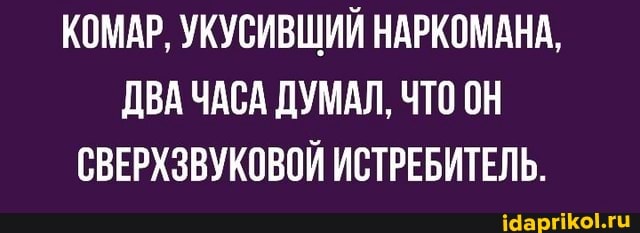 КОМАР, УКУСИВШИЙ НАРКОМАНА,
ДВА ЧАСА ДУМАЛ, ЧТО ОН СВЕРХЗВУКОВОЙ ИСТРЕБИТЕЛЬ.