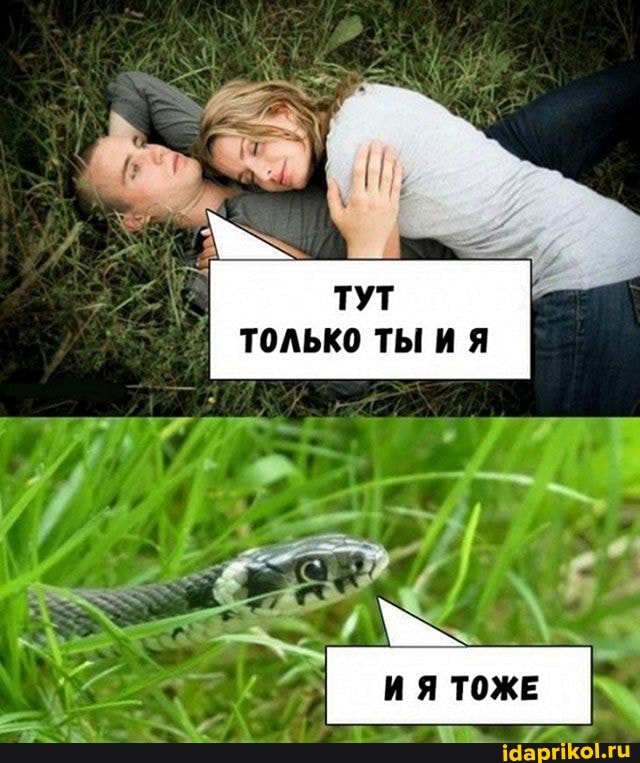 ТУТ только ты ия