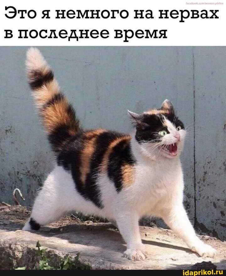 Это я немного на нервах в последнее время