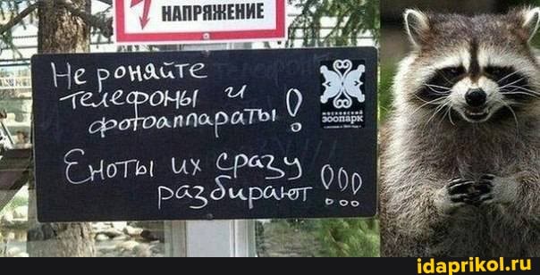 He
wP
'pagduparar