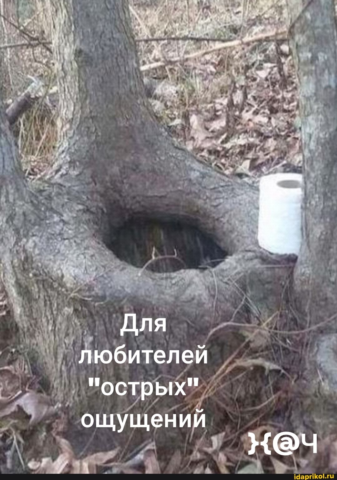 Для любителей
"острых"
ощущений