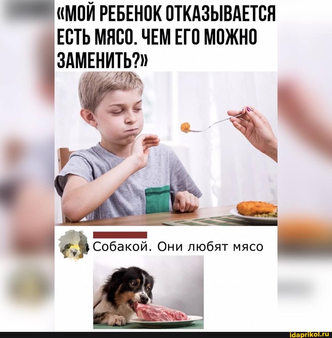 "МОЙ РЕБЕНОК ОТКАЗЫВАЕТСЯ ЕСТЬ МЯСО. ЧЕМ ЕГО МОЖНО ЗАМЕНИТЬ?
Собакой. Они любят мясо