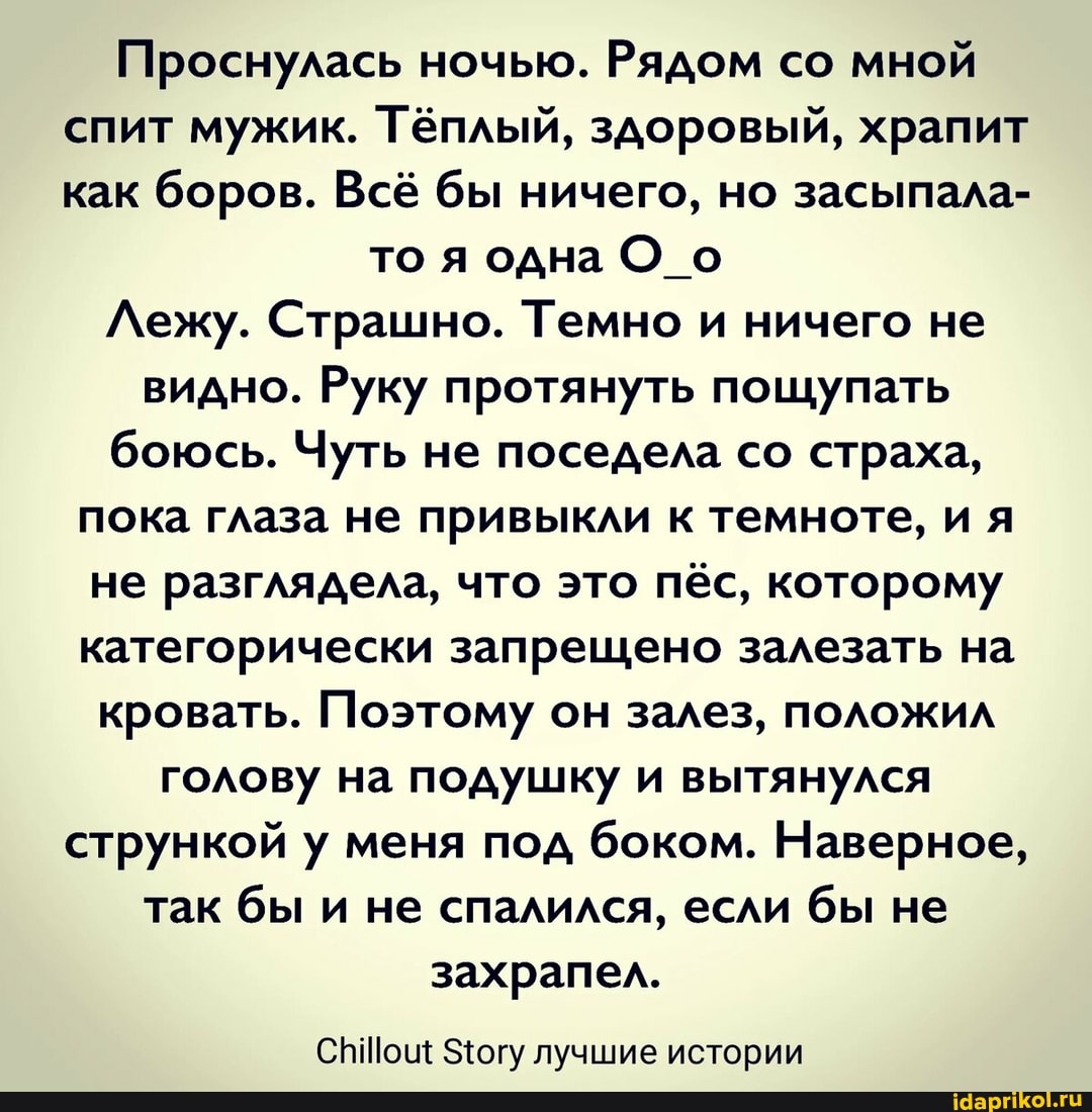 Проснулась ночью. Рядом со мной спит мужик. Тёплый, здоровый, храпит как боров. Всё бы ничего, но засыпала-
то я одна О_о
Лежу. Страшно. Темно и ничего не видно. Руку протянуть пощупать боюсь. Чуть не поседела со страха, пока глаза не привыкли к темноте, и я не разглядела, что это пёс, которому категорически запрещено залезать на кровать. Поэтому он залез, положил голову на подушку и вытянулся стрункой у меня под боком. Наверное, так бы и не спалился, если бы не захрапел.
З1огу лучшие истории