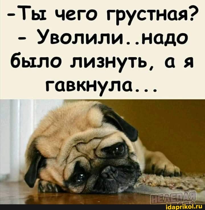 -Ты чего грустная?
- Уволили. "Надо было лизнуть, ая гавкнула...