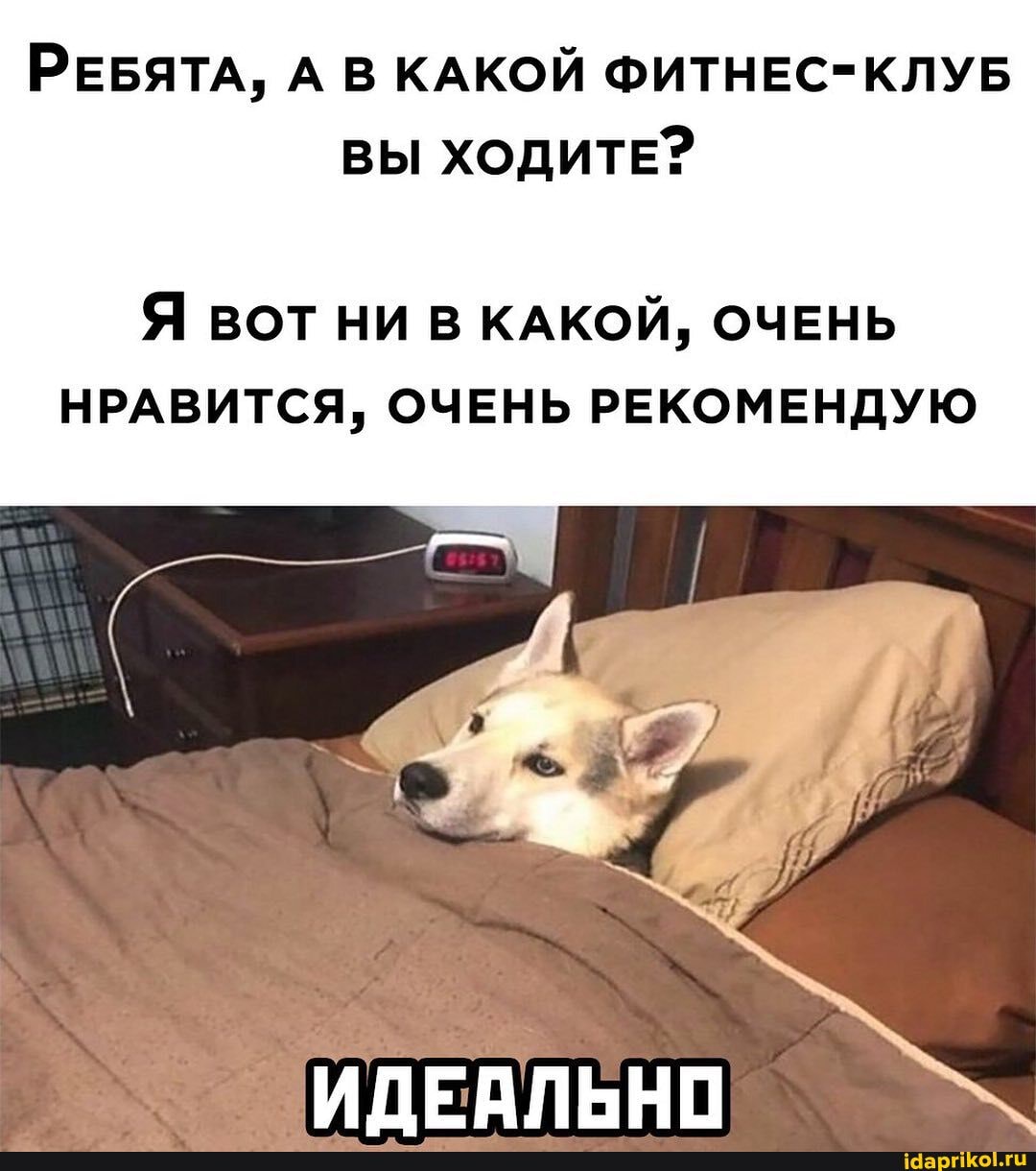 РЕБЯТА, А В КАКОЙ ФИТНЕС-КЛУБ ВЫ ХОДИТЕ?
Я ВОТ НИ В КАКОЙ, ОЧЕНЬ НРАВИТСЯ, ОЧЕНЬ РЕКОМЕНДУЮ
ИДЕАЛЬНО