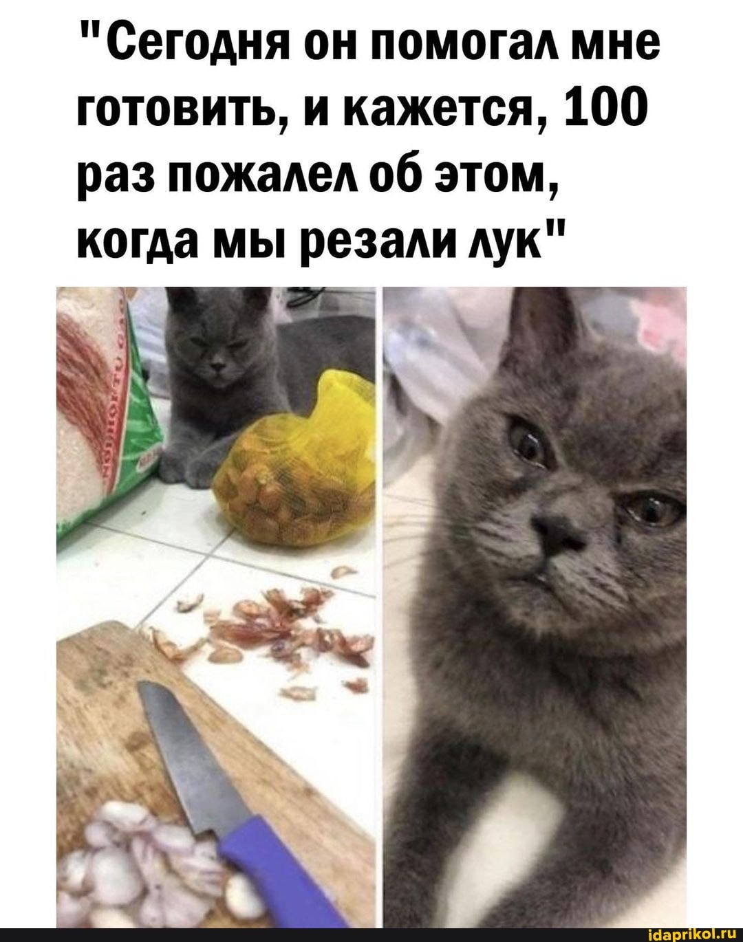 "Сегодня он помогал мне готовить, и кажется, 100 раз пожалел об этом,
когда мы резали лук"