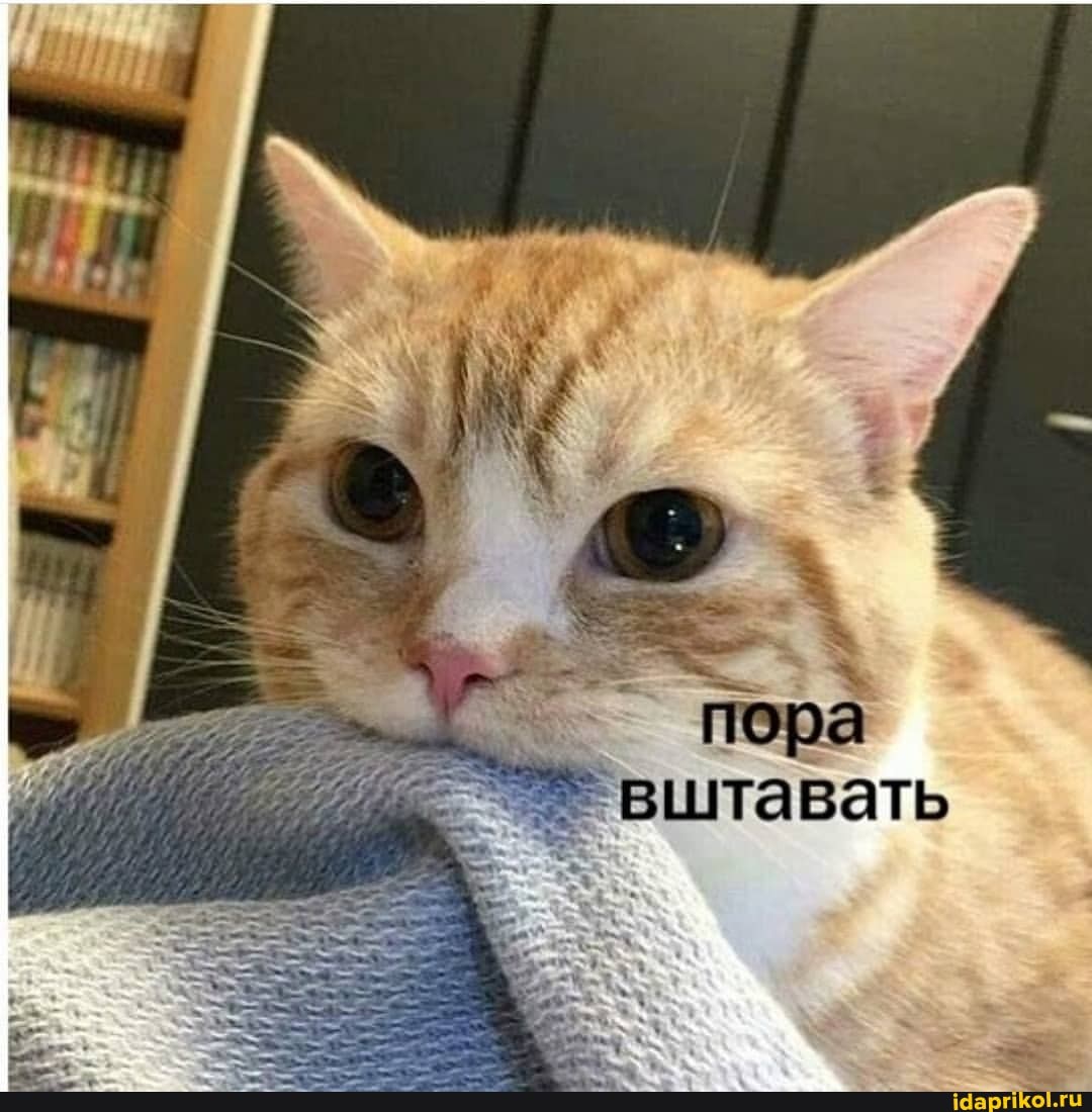 пора вштавать