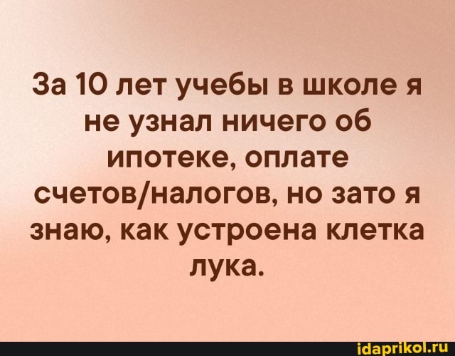 За 10 лет учебы в школе я не узнал ничего об ипотеке, оплате но зато я знаю, как устроена клетка лука.