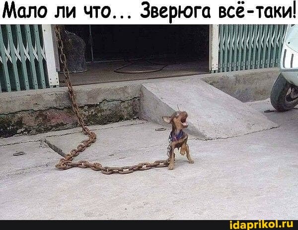 Мало ли что... Зверюга всё-таки!