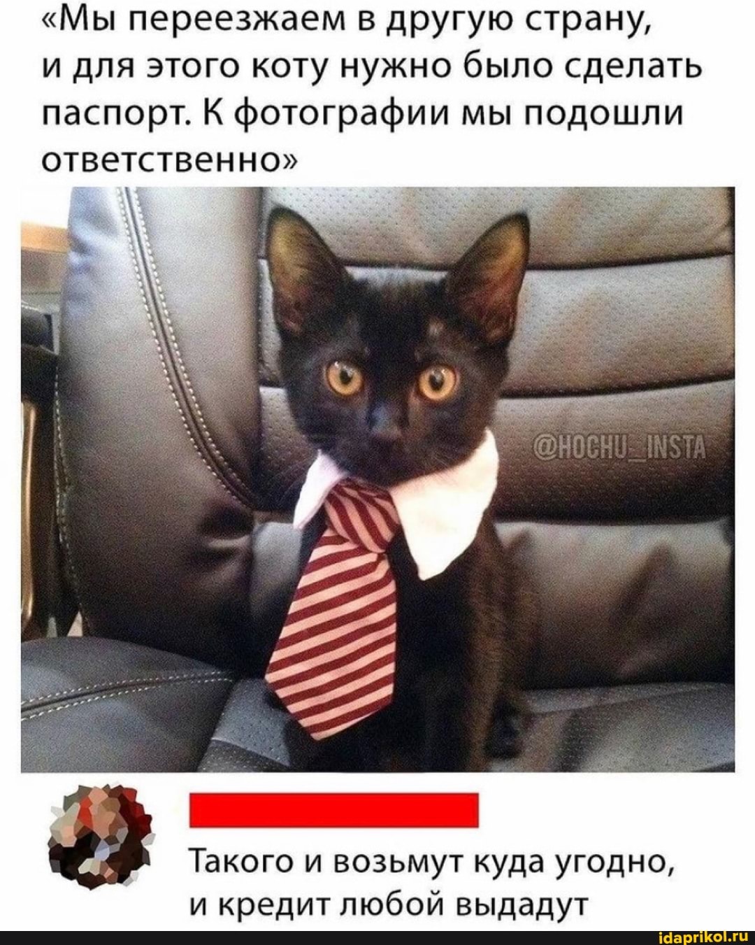 "Мы переезжаем в другую страну,
и для этого коту нужно было сделать паспорт. К фотографии мы подошли ответственно"
Такого и возьмут куда угодно, и кредит любой выдадут