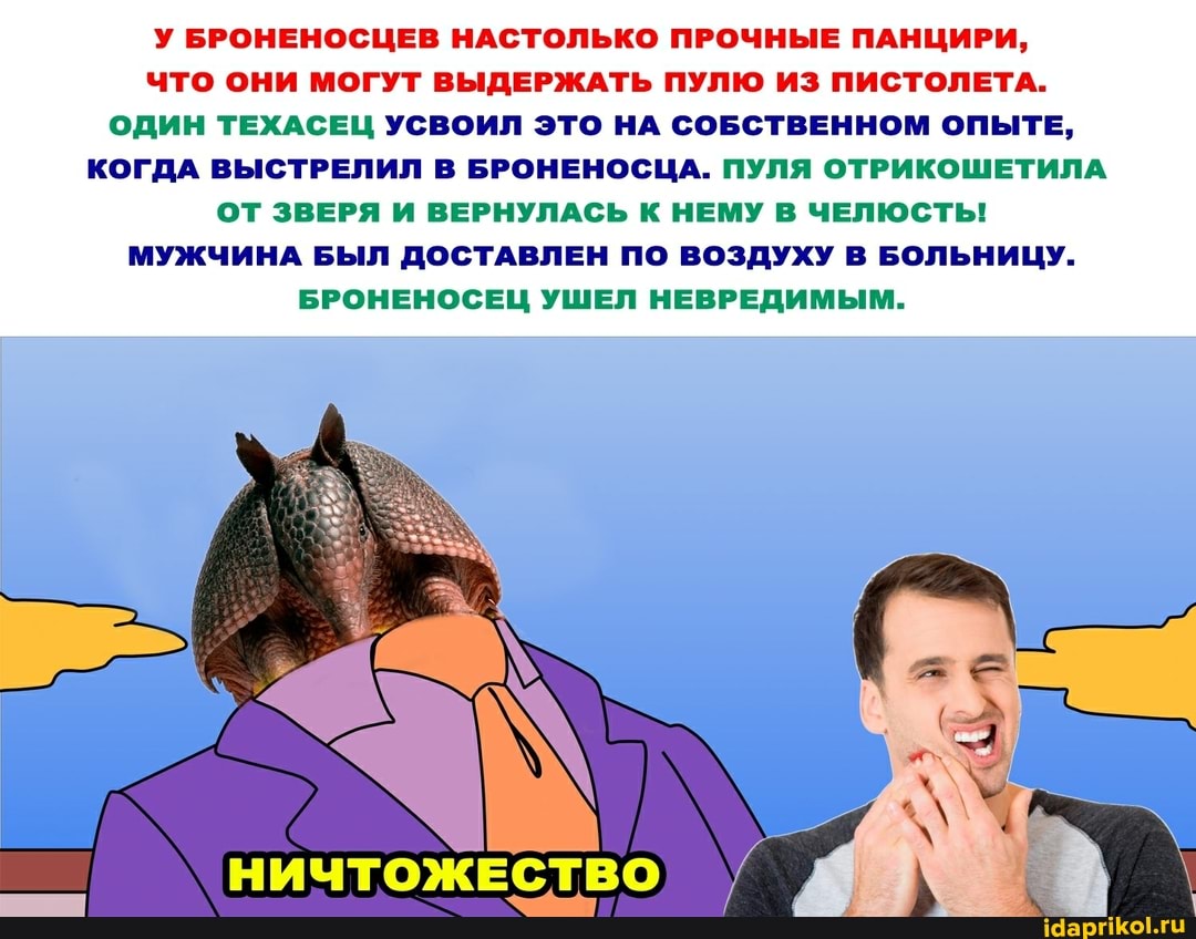 У БРОНЕНОСЦЕВ НАСТОЛЬКО ПРОЧНЫЕ ПАНЦИРИ,
ЧТО ОНИ МОГУТ ВЫДЕРЖАТЬ ПУЛЮ ИЗ ПИСТОЛЕТА.
ОДИН ТЕХАСЕЦ УСВОИЛ ЭТО НА СОБСТВЕННОМ ОПЫТЕ,
КОГДА ВЫСТРЕЛИЛ В БРОНЕНОСЦА. ПУЛЯ ОТРИКОШЕТИЛА ОТ ЗВЕРЯ И ВЕРНУЛАСЬ К НЕМУ В ЧЕЛЮСТЬ!
МУЖЧИНА БЫЛ ДОСТАВЛЕН ПО ВОЗДУХУ В БОЛЬНИЦУ.
БРОНЕНОСЕЦ УШЕЛ НЕВРЕДИМЫМ.
НИЧТОЖЕСТВО