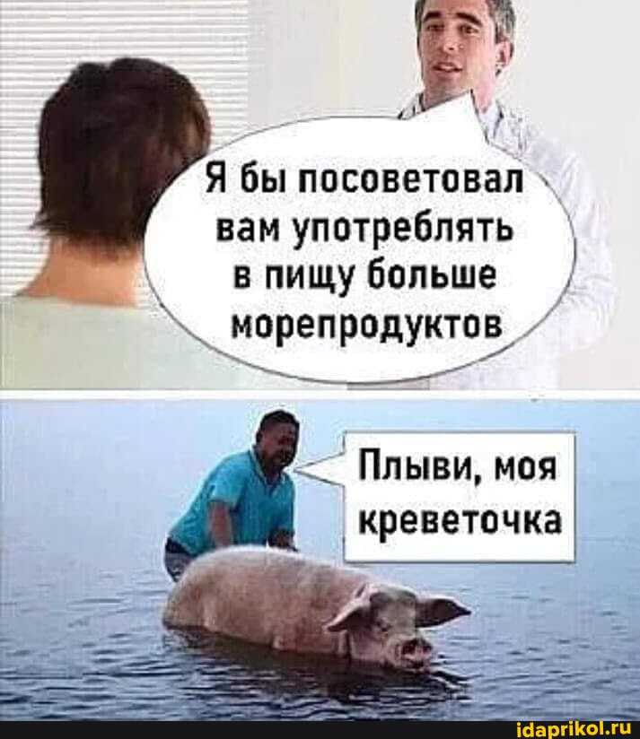 e739e8b20326e305a67a31246ef03fa1f9a86d45