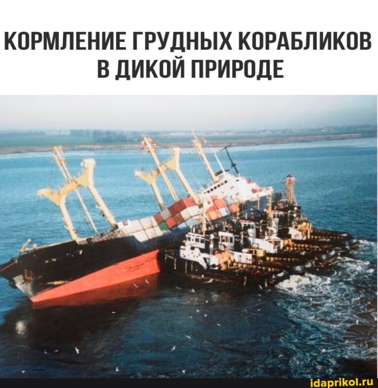 КОРМЛЕНИЕ ГРУДНЫХ КОРАБЛИКОВ В ДИКОЙ ПРИРОДЕ