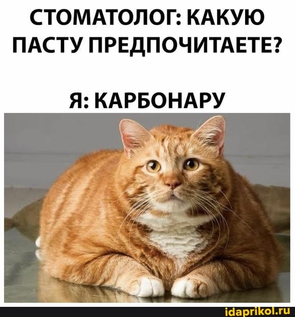 СТОМАТОЛОГ: КАКУЮ ПАСТУ ПРЕДПОЧИТАЕТЕ?
Я: КАРБОНАРУ