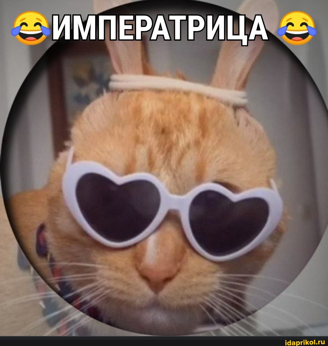 <>ИМПЕРАТРИЦА"<>>