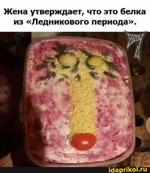 Жена утверждает, что это белка из "Ледникового периода".