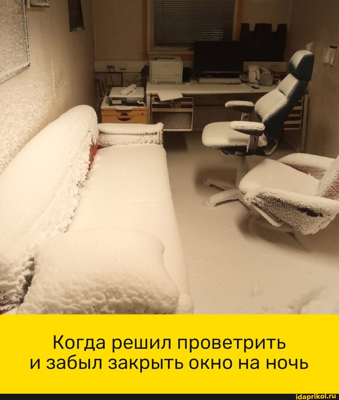 Когда решил проветрить и забыл закрыть окно на ночь