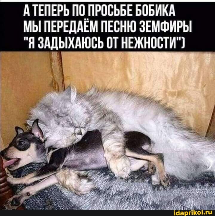 А ТЕПЕРЬ ПО ПРОСЬБЕ БОБИКА МЫ ПЕРЕДАЕМ ПЕСНЮ ЗЕМФИРЫ
"Я ЗАДЫХАЮСЬ ОТ НЕЖНОСТИ")