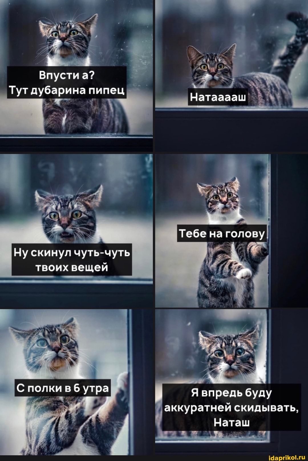 Впусти
Тут дубарина пипец утлурар Натааааш
Тебе на голову
Ну скинул чуть-чуть твоих вещей
. у
С полки в 6 утра Я впредь буду аккуратней скидывать.
Наташ