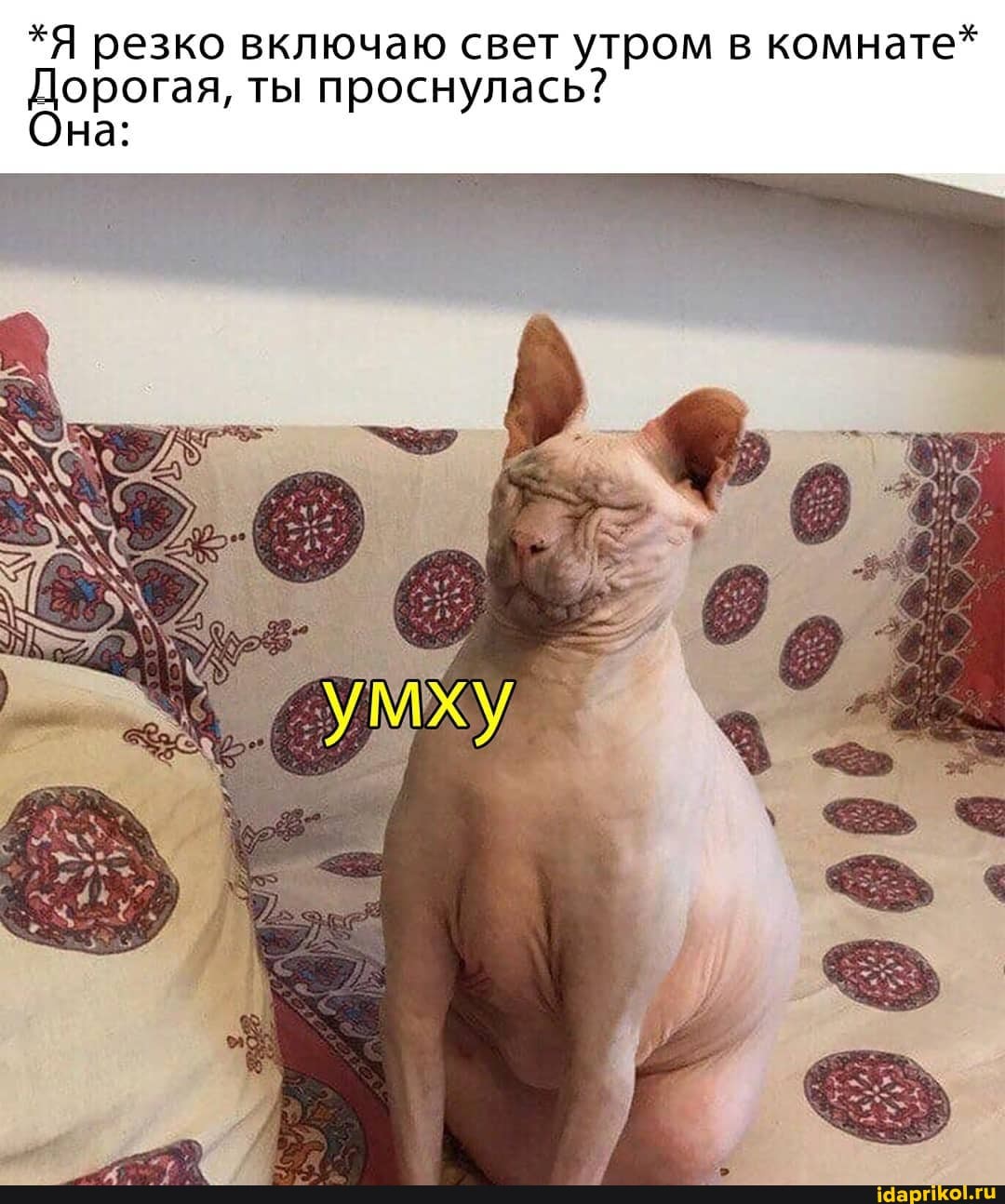 *Я резко включаю свет утром в комнате*
Дорогая, ты проснулась?
Она: