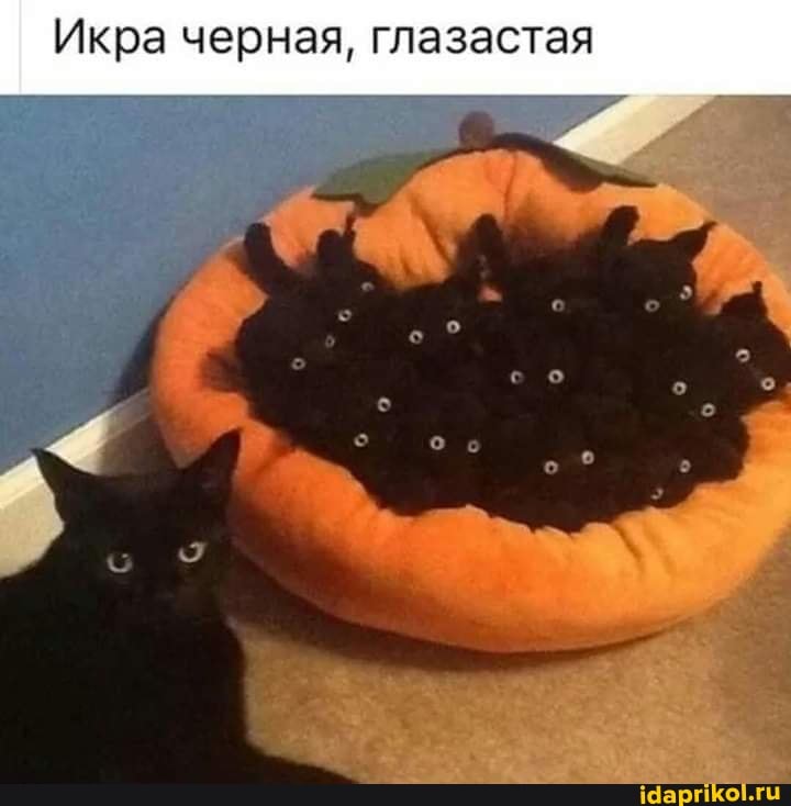 Икра черная, глазастая