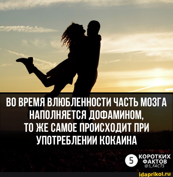ВО ВРЕМЯ ВЛЮБЛЕННОСТИ ЧАСТЬ МОЗГА НАПОЛНЯЕТСЯ ДОФАМИНОМ,
ТО ЖЕ САМОЕ ПРОИСХОДИТ ПРИ УПОТРЕБЛЕНИИ КОКАИНА
КОРОТКИХ ФАКТОВ