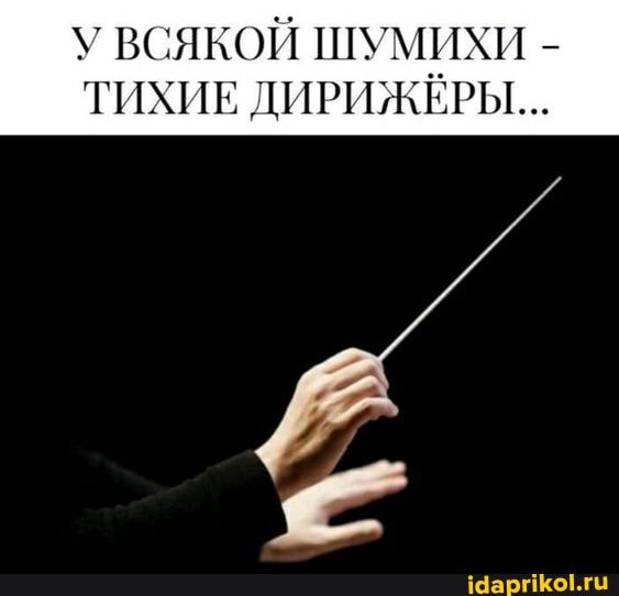 У ВСЯКОЙ ШУМИХИ -
ТИХИЕ ДИРИЖЁРЫ...