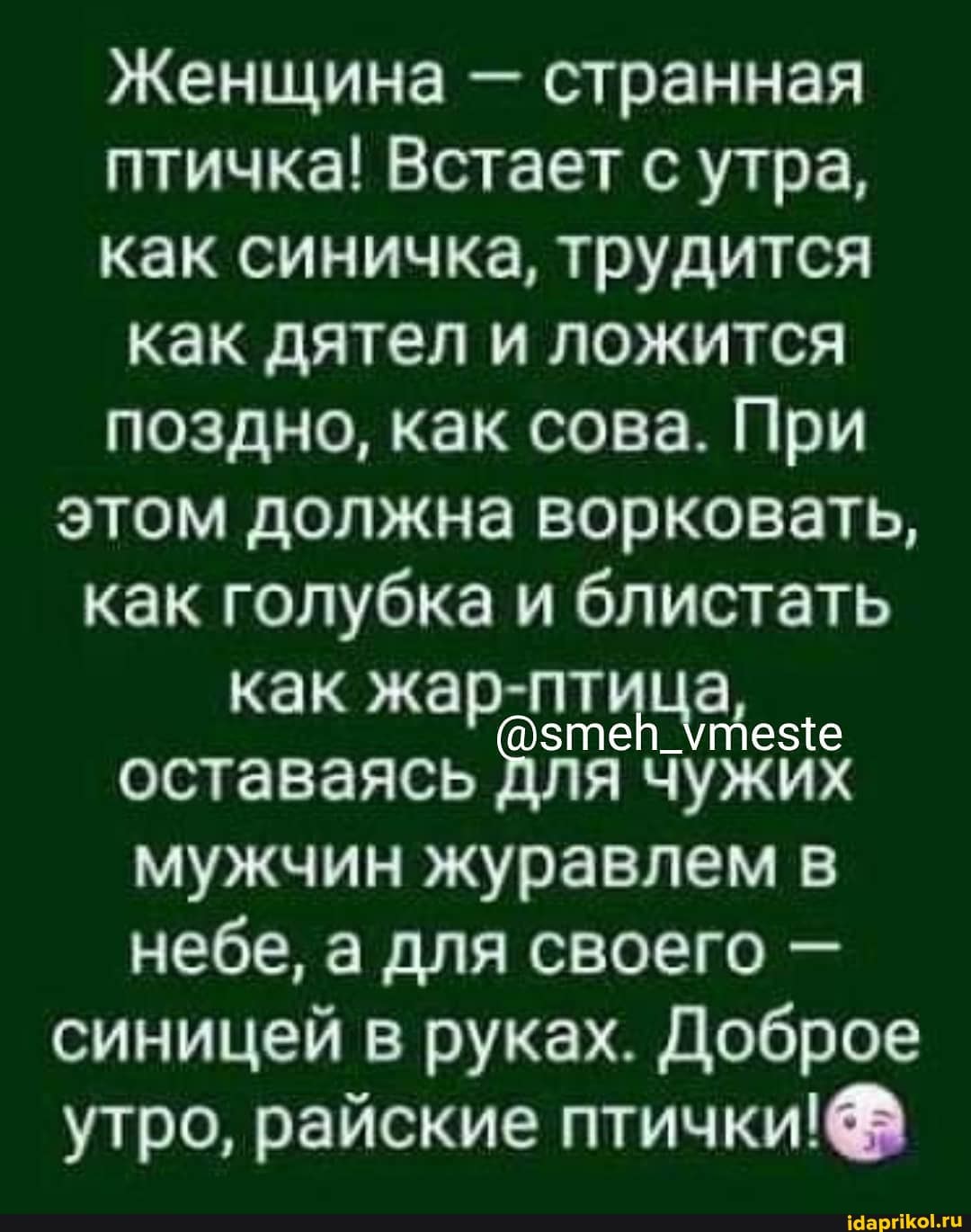 Женщина - странная птичка! Встает с утра, как синичка, трудится как дятел и ложится поздно, как сова. При этом должна ворковать, как голубка и блистать оставаясь для чужих мужчин журавлем в небе, а для своего - синицей в руках. Доброе утро, райские птички!