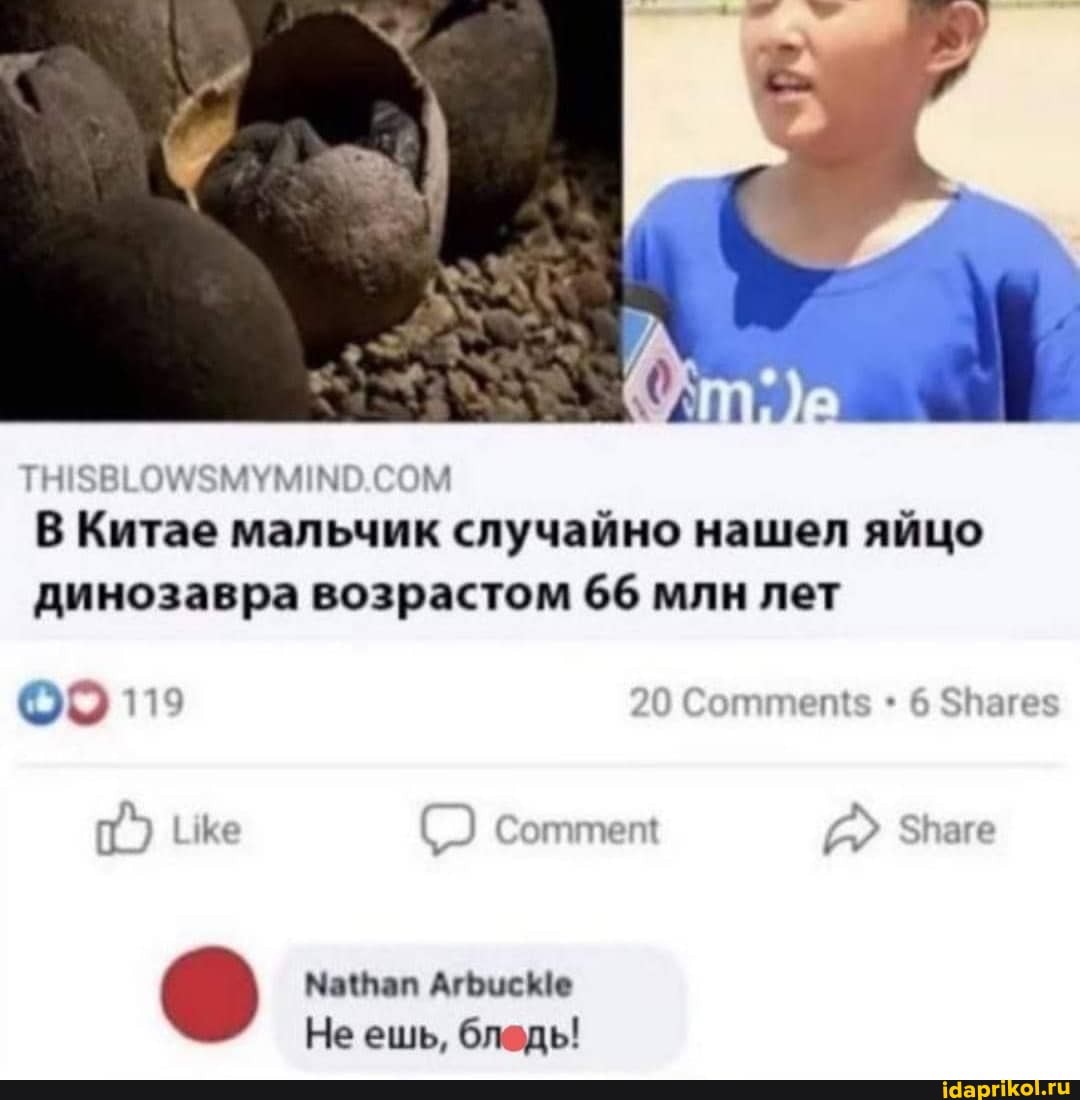 В Китае мальчик случайно нашел яйцо динозавра возрастом 66 млн лет
20
Зпаге
Не ешь, бледь!