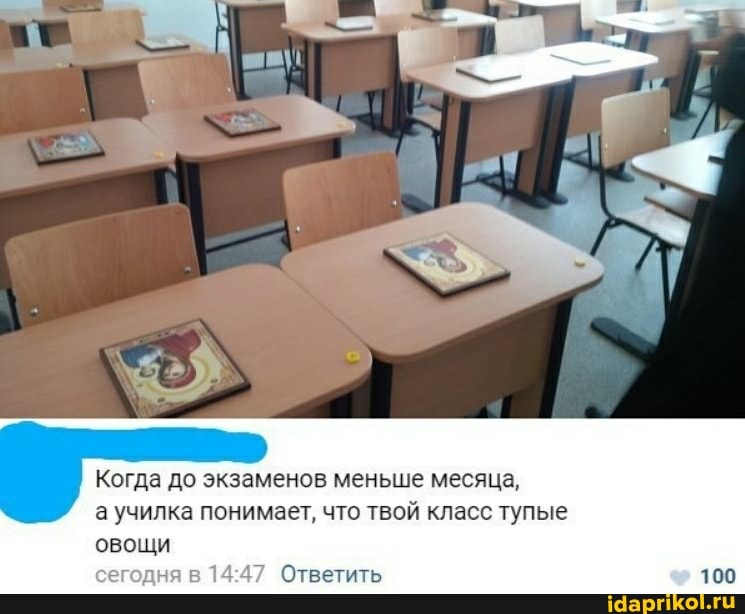 Когда до экзаменов меньше месяца,
а училка понимает, что твой класс тупые овощи
сегодня в Ответить