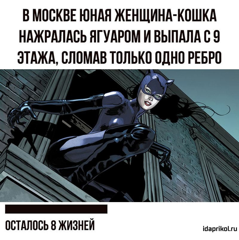 В МОСКВЕ ЮНАЯ ЖЕНЩИНА-КОШКА
НАЖРАЛАСЬ ЯГУАРОМ И ВЫПАЛА С 9
ЭТАЖА, СЛОМАВ ТОЛЬКО ОДНО РЕБРО
ОСТАЛОСЬ 8 ЖИЗНЕЙ