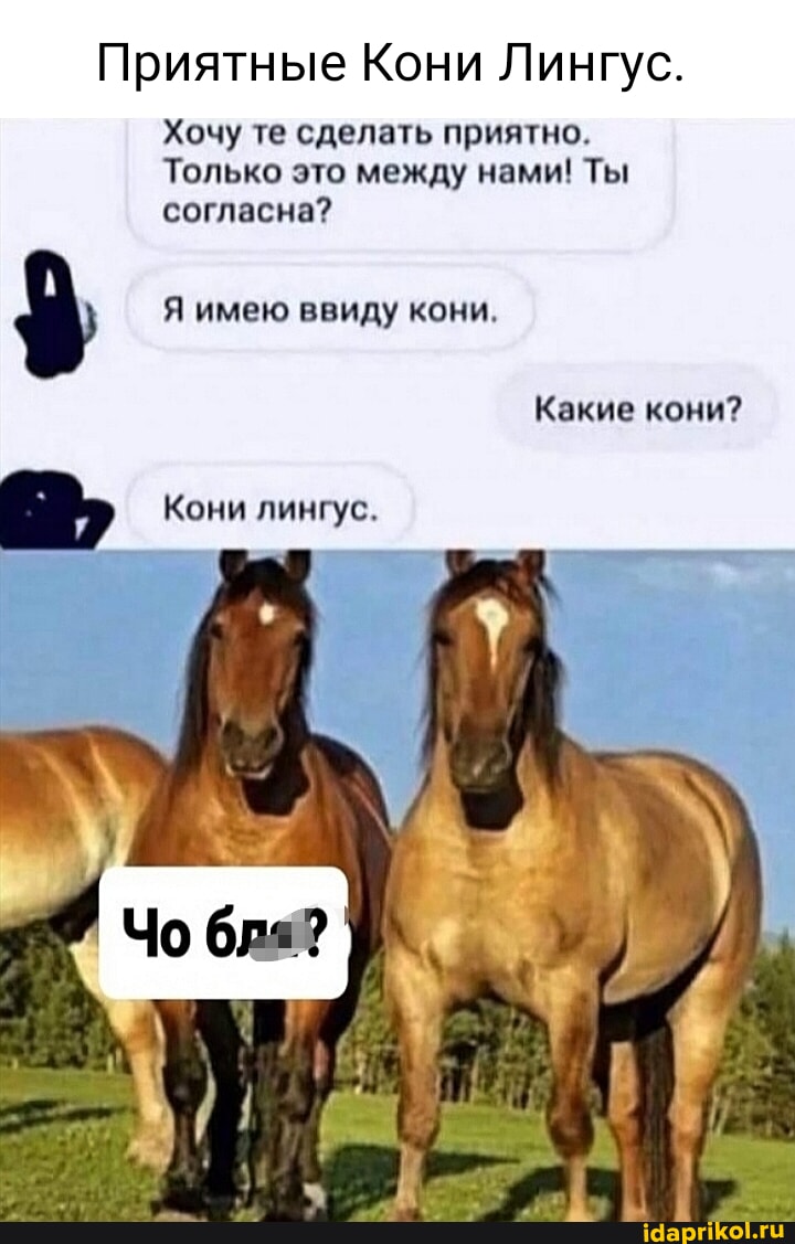 трахнул лошадь 