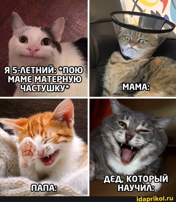 Я 5-ЛЕТНИЙ: *ПОЮ МАМЕ МАТЕРНУЮ ЧАСТУШКУ* МАМА:
ДЕД, КОТОРЫЙ ПАПА: НАУЧИЛ: