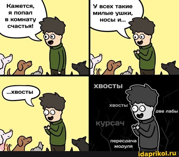 Кажется, я попал в комнату счастья!
У всех такие милые ушки, носы и...
хвосты
переслача